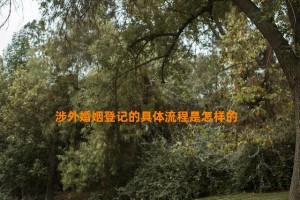 涉外婚姻登记的具体流程是怎样的