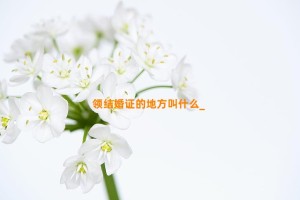 领结婚证的地方叫什么