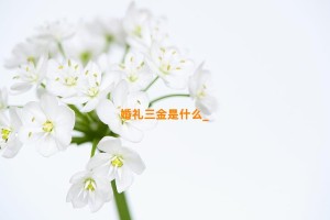 婚礼三金是什么