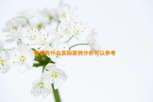 有没有什么实际案例分析可以参考