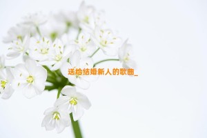 送给结婚新人的歌曲