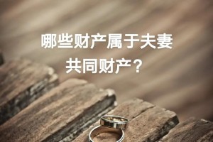 什么叫夫妻共同财产