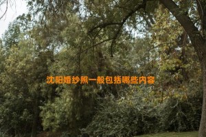 沈阳婚纱照一般包括哪些内容