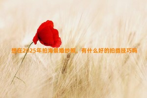 想在2025年拍海景婚纱照，有什么好的拍摄技巧吗