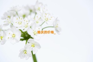 婚庆的价格