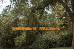 在校园里拍婚纱照，需要注意些什么