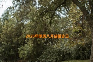 2025年阴历八月结婚吉日