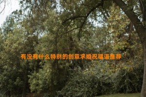 有没有什么特别的创意求婚祝福语推荐