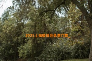 2025上海婚博会免费门票