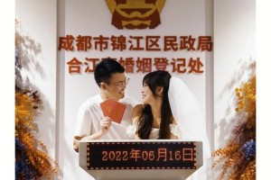 给我一些婚姻登记处的成功案例