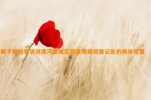 能不能给我讲讲漯河郾城区民政局婚姻登记处的具体位置