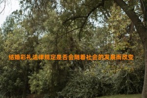 结婚彩礼法律规定是否会随着社会的发展而改变