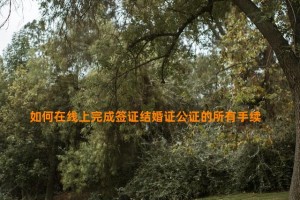 如何在线上完成签证结婚证公证的所有手续