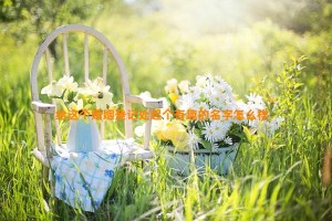 给这个婚姻登记处起个有趣的名字怎么样