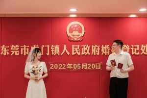 给我提供一些婚姻登记处的成功案例