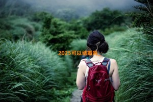 2025可以结婚吗