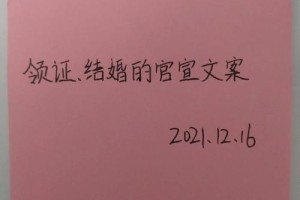 可以尝试用一些文学性的语言来描述婚姻登记处的场景吗