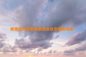 婚育情况证明里都应该包含哪些信息