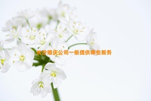 长沙婚庆公司一般提供哪些服务