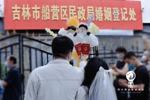 吉林市龙潭区民政局婚姻登记处的具体位置在哪里