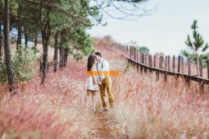 怎样装饰婚房