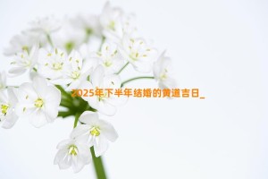 2025年下半年结婚的黄道吉日