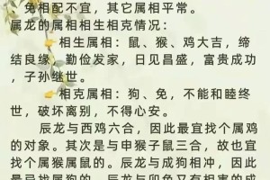 属龙和属鼠的运势怎么样