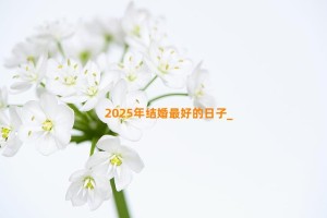 2025年结婚最好的日子