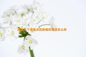 给我几个浪漫点的新婚祝福语怎么样