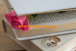 苏州哪个婚纱摄影公司性价比高