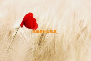 花童是什么意思