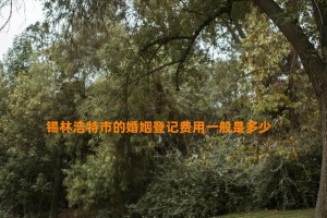 锡林浩特市的婚姻登记费用一般是多少