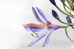 2025年八月结婚黄道吉日