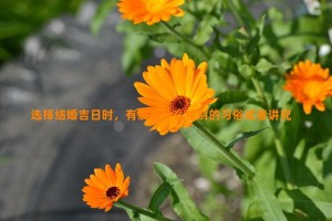 选择结婚吉日时，有没有什么特别的习俗或者讲究