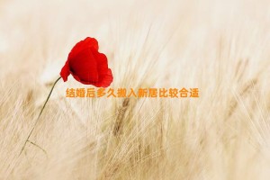 结婚后多久搬入新居比较合适