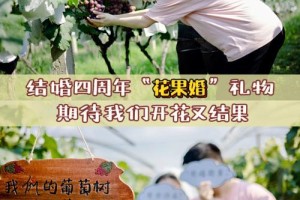 花果婚跟普通婚姻有什么区别