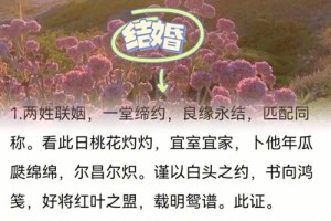 有没有什么诗句可以描绘婚庆典礼的热闹场景