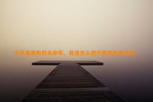 今年是属狗的本命年，我该怎么提升我的爱情运呢