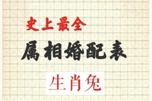 属兔的人在婚姻中有什么特点