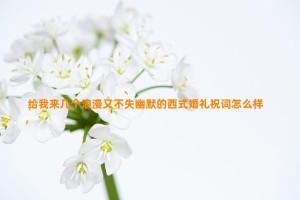 给我来几个浪漫又不失幽默的西式婚礼祝词怎么样