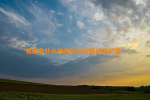 有没有什么特别的旅拍婚纱照创意