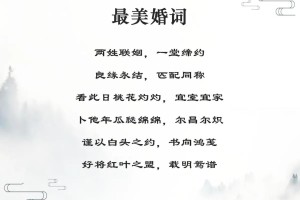 有没有什么特别的词汇可以用来形容婚礼的幸福感