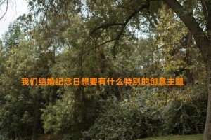 我们结婚纪念日想要有什么特别的创意主题