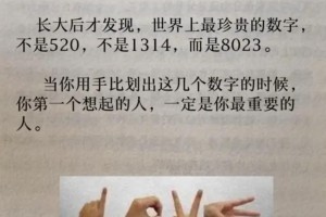 能不能给我举个8023的具体例子，解释一下它的多种含义