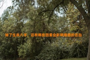 除了生辰八字，还有哪些因素会影响婚姻的吉凶