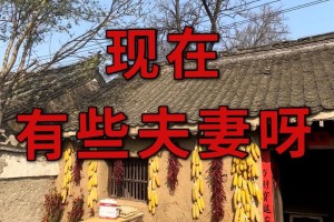 “名义夫妻”这个说法有何特别之处