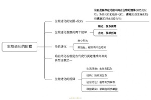 陶器婚的起源和发展历程是怎样的