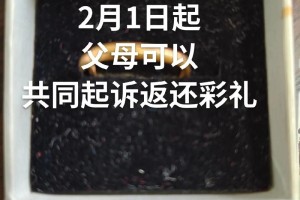 在彩礼纠纷中，如何证明对方存在过错