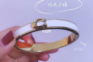 白金的替代品有哪些