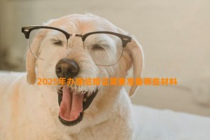 2025年办理结婚证需要准备哪些材料